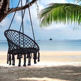 Hammock Chair Macrame Swing (Color: Black)